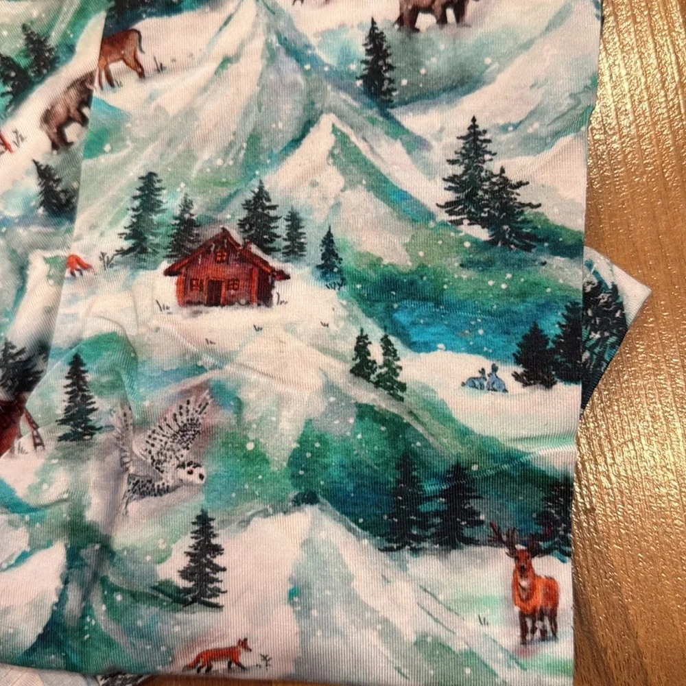 Winter mountains 2 piece kids unisex pajama set‎ NWT
